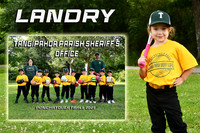 LANDRY AYCOCK MM