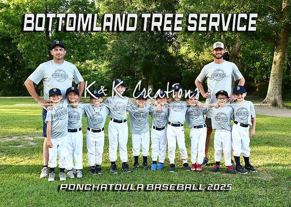 5X7 BOTTOMLAND TREE SVC 6CP TEAM