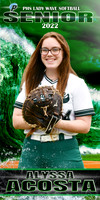 ALYSSA ACOSTA  phs softball banner
