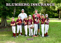 9-10 boys Blumberg Insurance