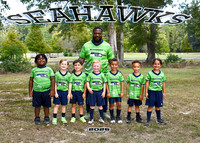 SEAHAWKS -MATT