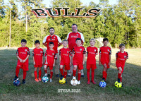 5X7 STYSA BULLS HARPER TEAM