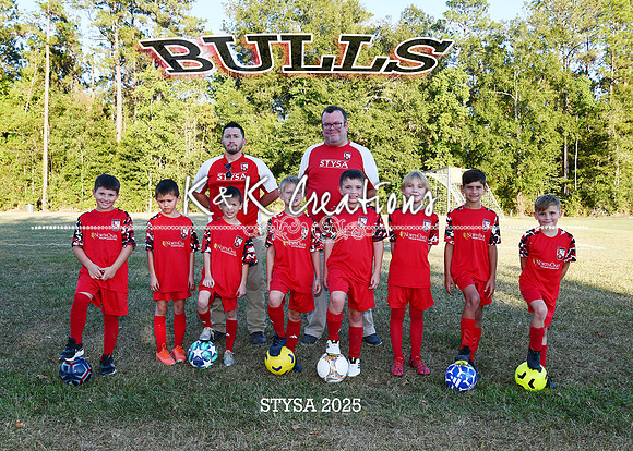 5X7 STYSA BULLS HARPER TEAM