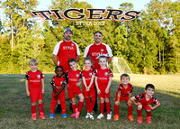 5X7 STYSA TIGERS CHRIS MCKAY TEAM