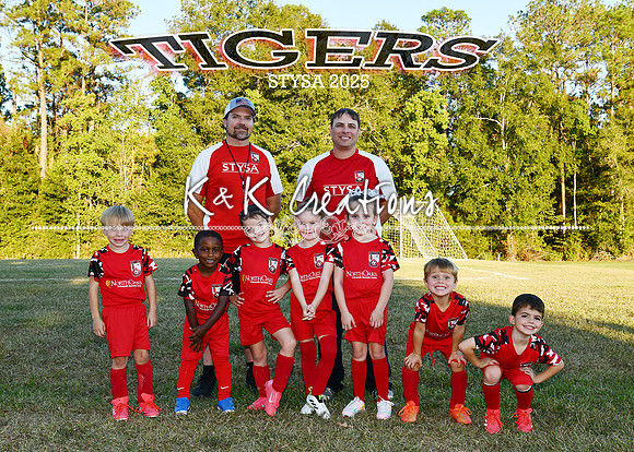 5X7 STYSA TIGERS CHRIS MCKAY TEAM