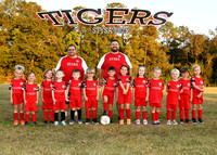 5X7 TIGERS RAYBURN TEAM