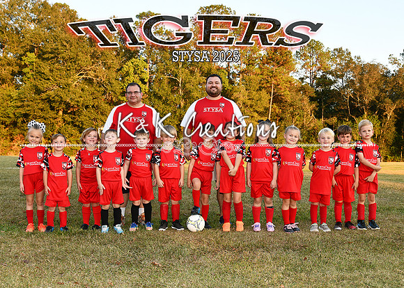 5X7 TIGERS RAYBURN TEAM