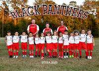 5X7 BLACK PANTHERS MCCARTNEY TEAM