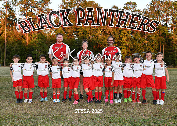 5X7 BLACK PANTHERS MCCARTNEY TEAM