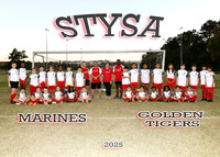 MARINES AND GOLDEN TIGERS - NICOLE