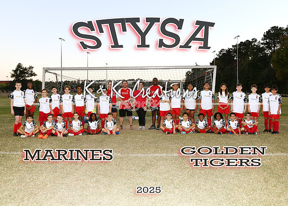 5X7 MARINES AND GOLDEN TIGERS TEAM