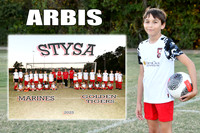 ARBIS HANNA MM