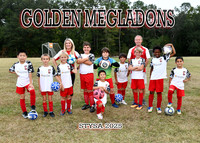 5X7 GOLDEN MEGLADONS TEAM STEVENS4