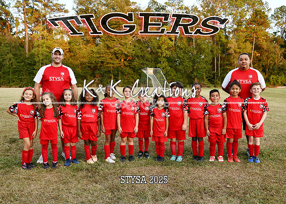 5x7 tigers brandon sevin team