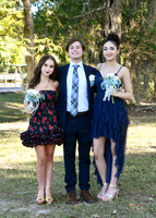Downing Hoco Pictures