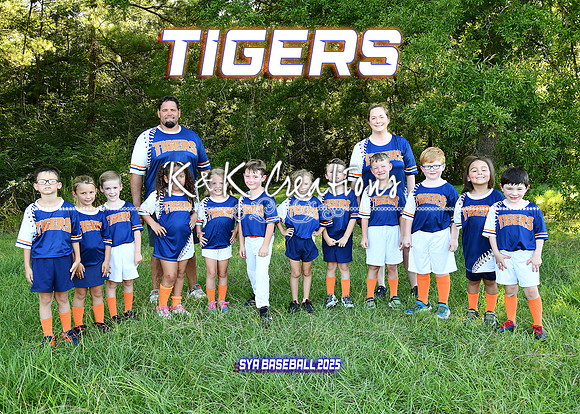 5X7 TIGERS TEAM