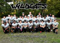 WILDCATS