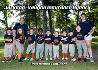 TBall Jackson Vaughn Insurance Agency
