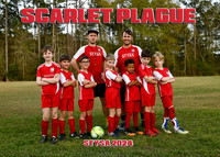5X7 STYSA SCARLET PLAGUE TEAM
