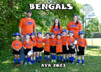 5X7 BENGALS TEAM