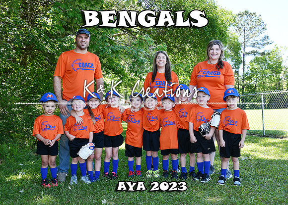 5X7 BENGALS TEAM