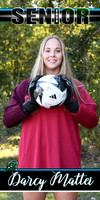 darcy mattei banner_7759