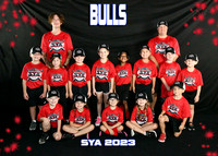 BULLS