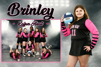 brinley smith mm