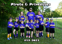 5x7 pirates and princesses team