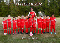 5X7 THE DEER COACH ROBBIE TEAM