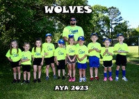 5X7 WOLVES TEAM