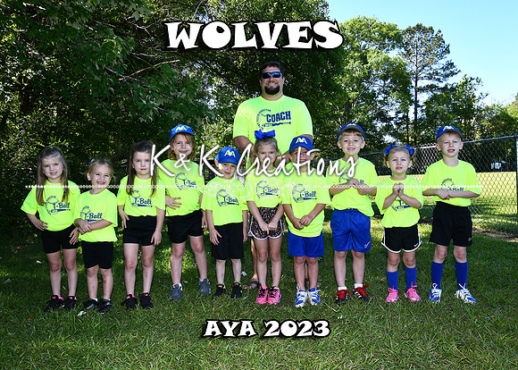 5X7 WOLVES TEAM