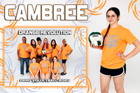 CAMBREE WILSON MM