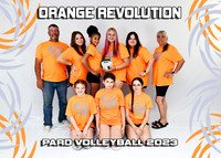 ORANGE REVOLUTION 13-17