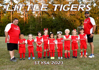 5x7 Little Tigers Team