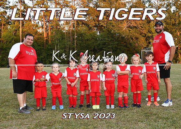 5x7 Little Tigers Team