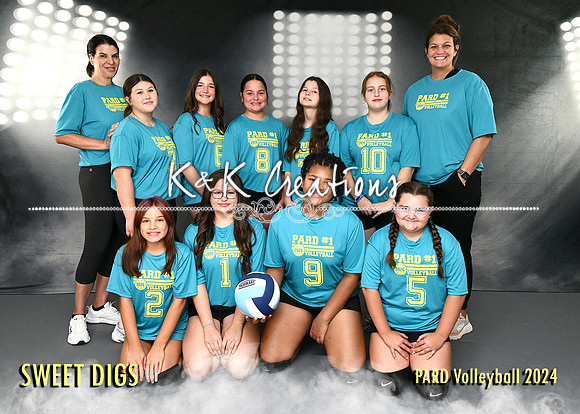 5X7 SWEET DIGS TEAM