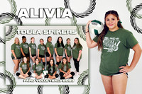 ALIVIA VIRGA MM