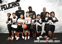 PELICANS 9-10