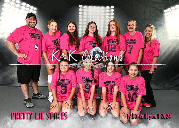 5X7 PRETTY LITTLE SPIKESN TEAM