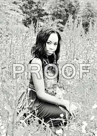 KRS_2708_edit_bw