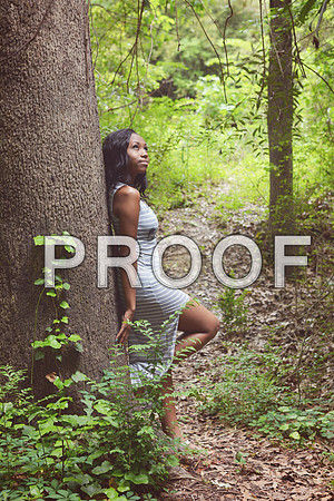 KRS_2629_edit