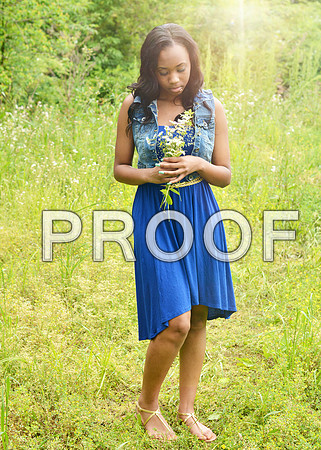 KRS_2699_edit