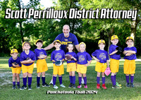 TBall Scott Perrilloux District Attorney