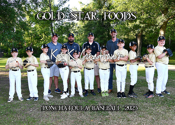5X7 GOLD STAR FOODS TEAM