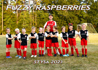 5X7 FUZZY RASPBERRIES TEAM