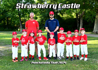 TBall Strawberry Castle