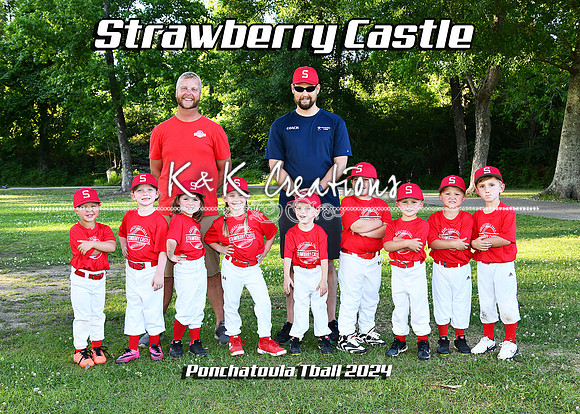 5x7 tball strawberry castle team