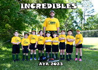 5X7 INCREDIBLES TEAM
