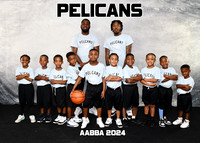 PELICANS